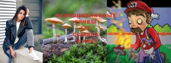 mdma Белокуриха